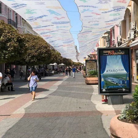 Beautiful Location Red Mouse Daire