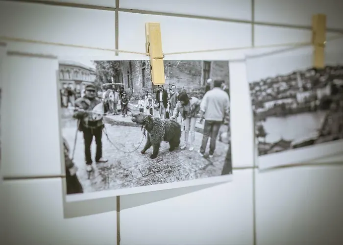 Beautiful Location Red Mouse Daire Filibe