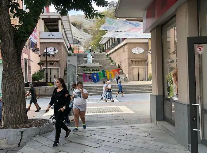 Beautiful Location Red Mouse