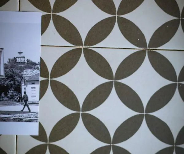 Beautiful Location Red Mouse 公寓 普罗夫迪夫