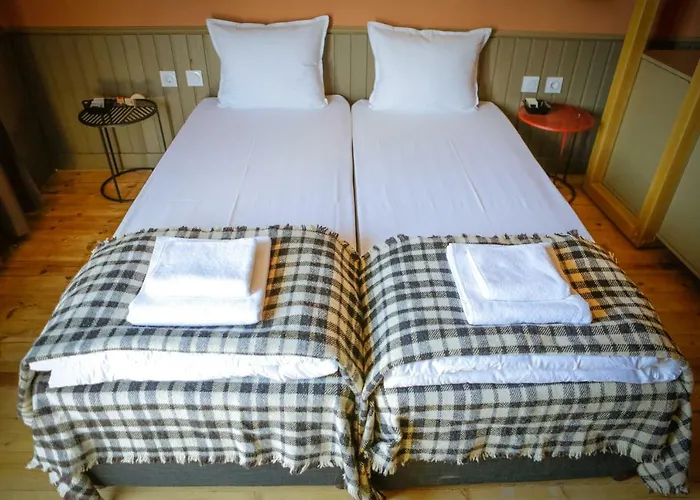 Beautiful Location Red Mouse 普罗夫迪夫